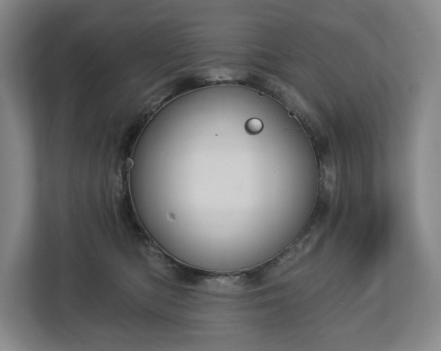 X0000113060422200909041042