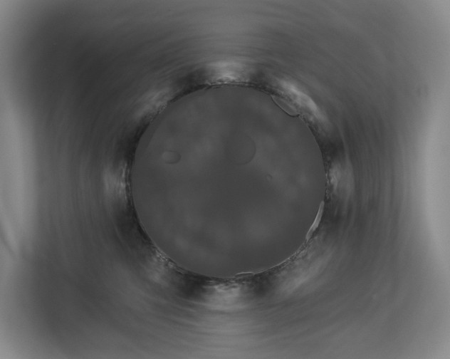X0000113060423200909041041