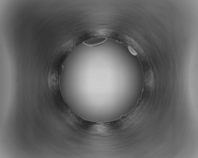 X0000113060425200909041041