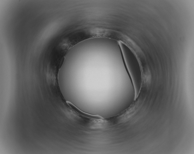 X0000113060429200909041041