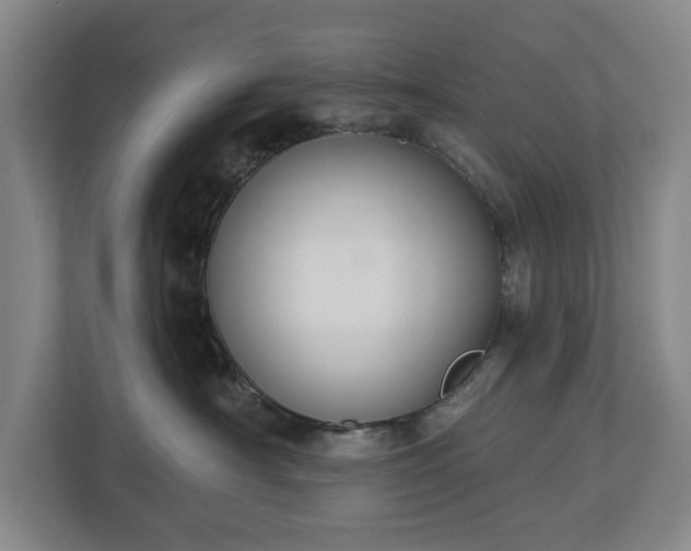 X0000113060430200909041041