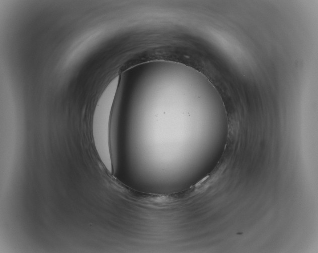 X0000113060431200909041041