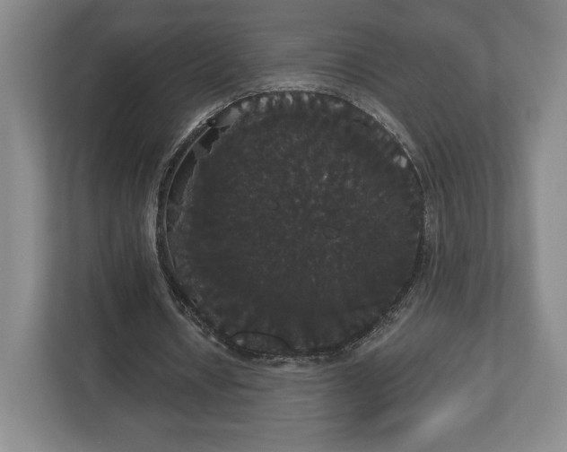 X0000113060434200909041041