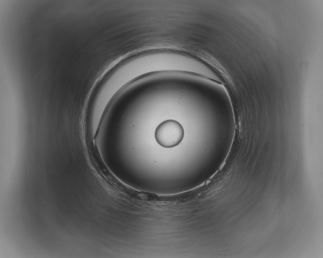 X0000113060436200909041041