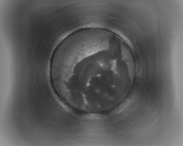 X0000113060437200909041041