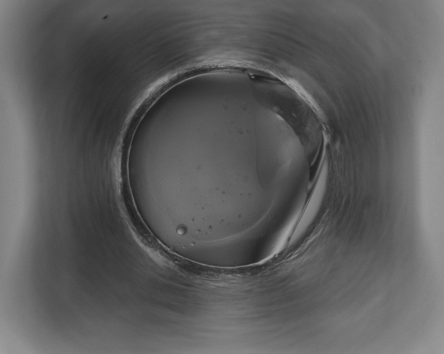 X0000113060438200909041041