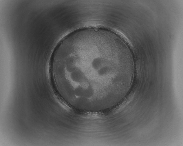 X0000113060439200909041041