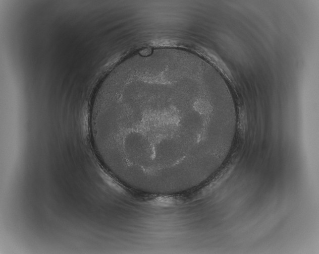 X0000113060441200909041041