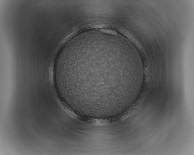 X0000113060442200909041041