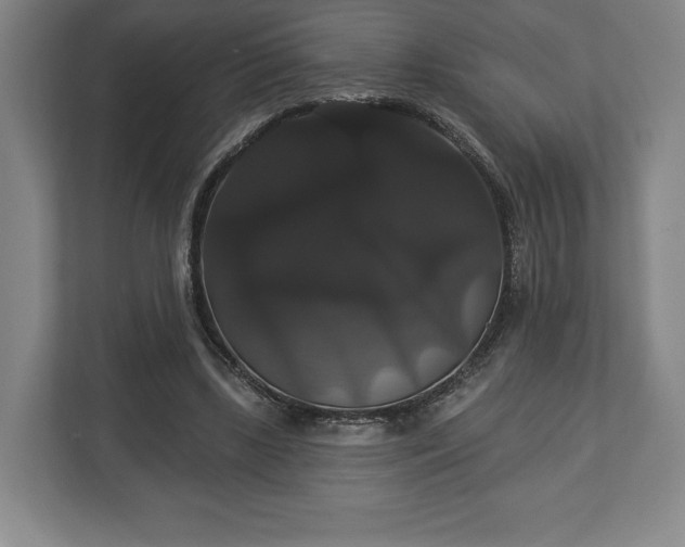 X0000113060443200909041041