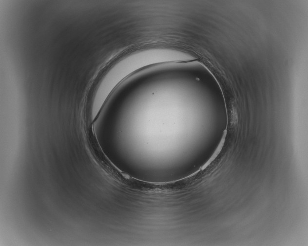 X0000113060444200909041041