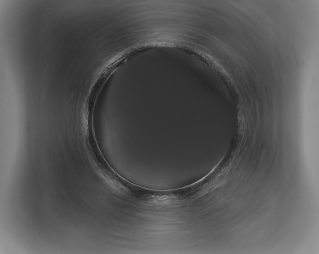 X0000113060446200909041041