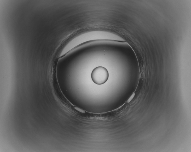 X0000113060448200909041041