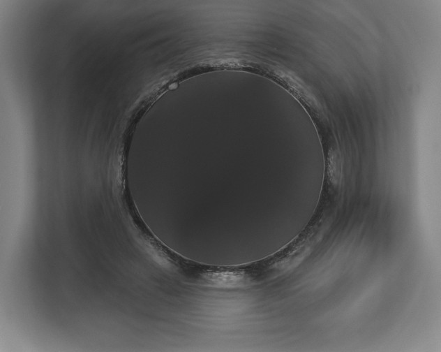 X0000113060449200909041041