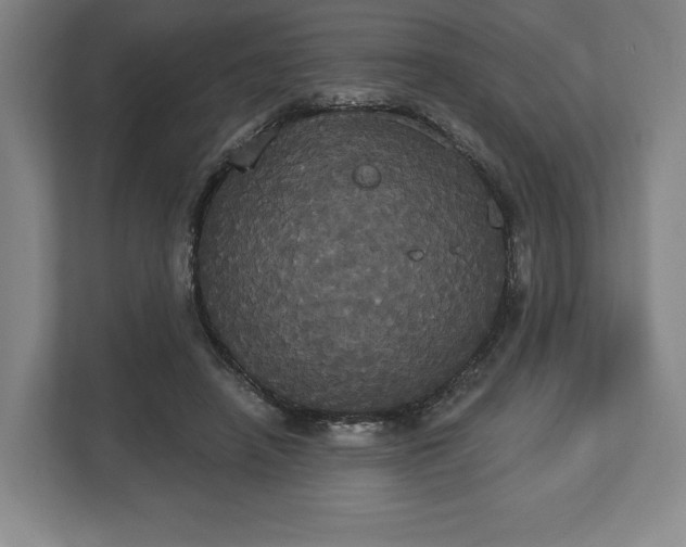 X0000113060450200909041041