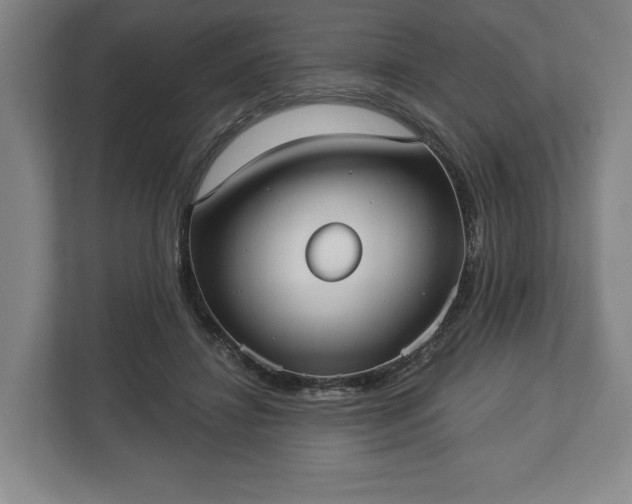 X0000113060452200909041041