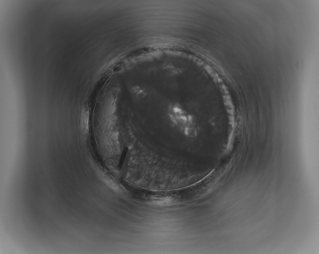 X0000113060454200909041041