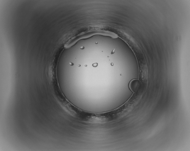 X0000113060455200909041041