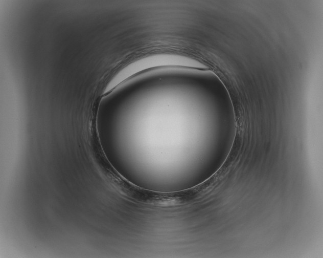 X0000113060456200909041041