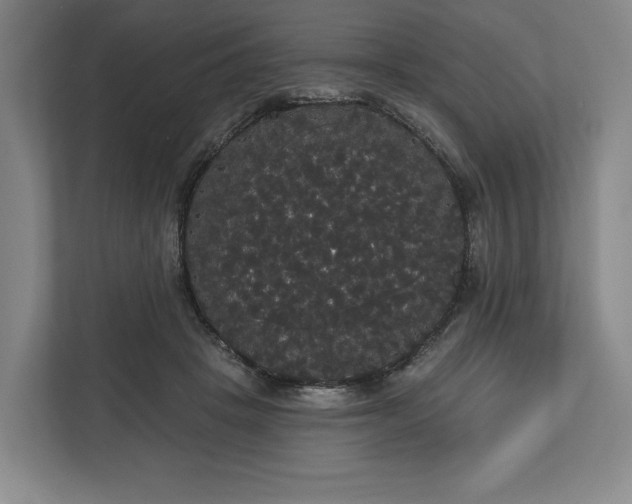 X0000113060457200909041041