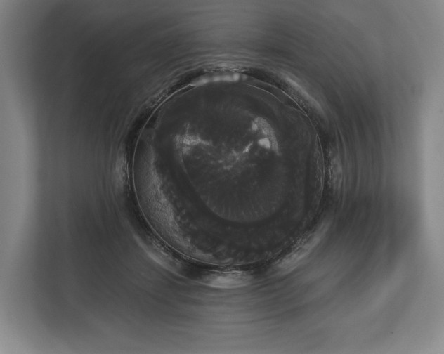 X0000113060459200909041041