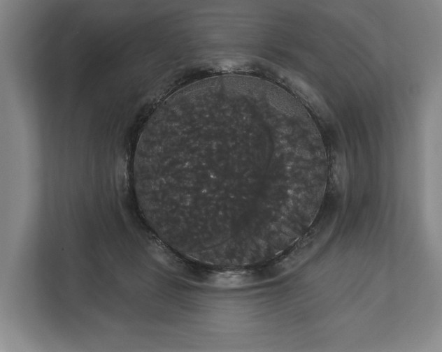 X0000113060461200909041041