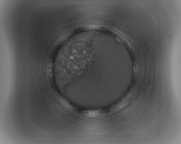 X0000113060462200909041041