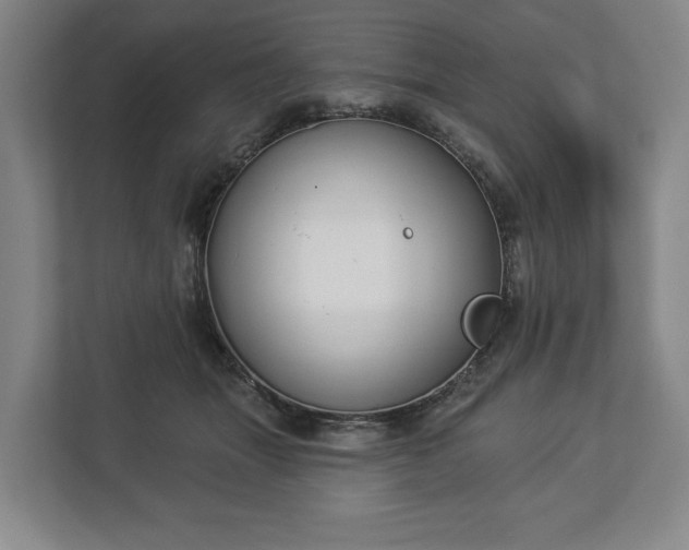 X0000113060463200909041041