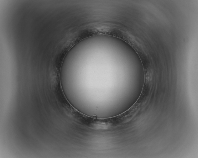 X0000113060464200909041041