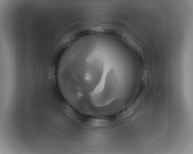 X0000113060466200909041041