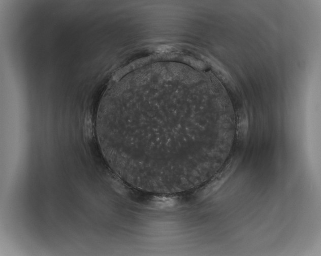 X0000113060469200909041041