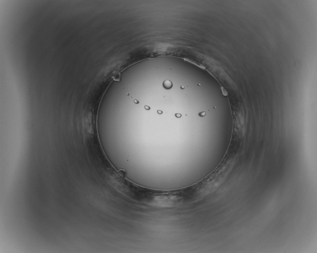 X0000113060470200909041041