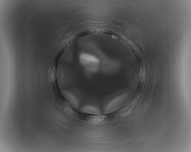 X0000113060474200909041041