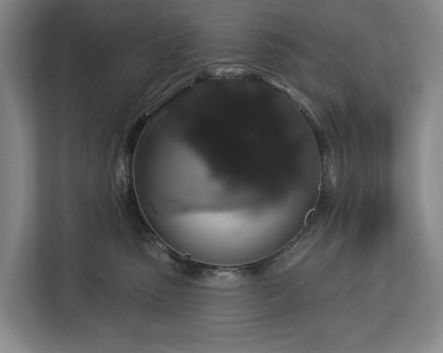 X0000113060475200909041041