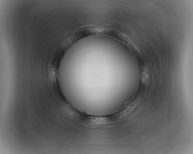 X0000113060476200909041041