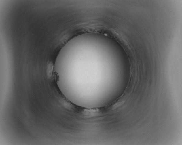 X0000113060480200909041041