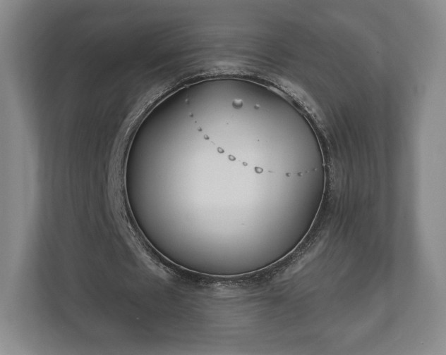 X0000113060481200909041041