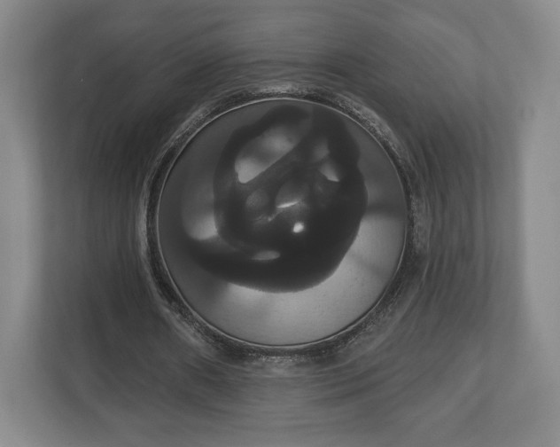X0000113060482200909041041