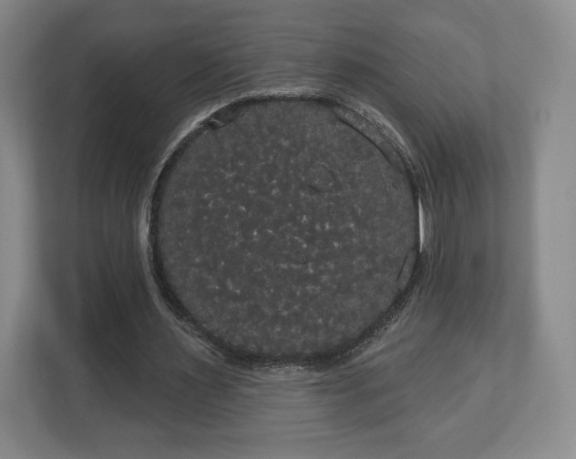 X0000113060483200909041041