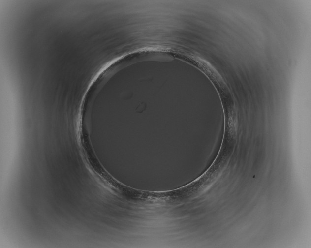 X0000113060484200909041041