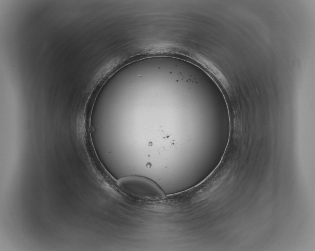 X0000113060485200909041041