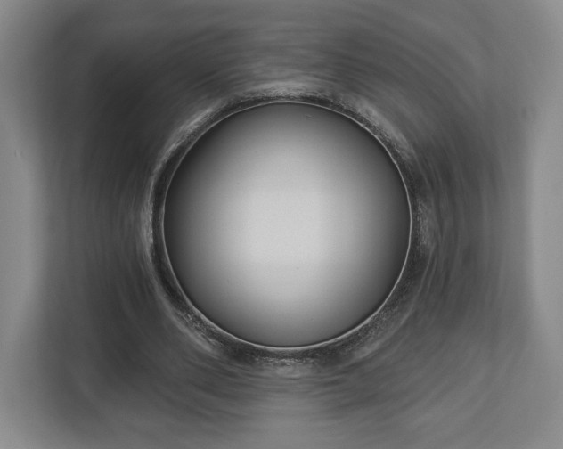 X0000113060486200909041041