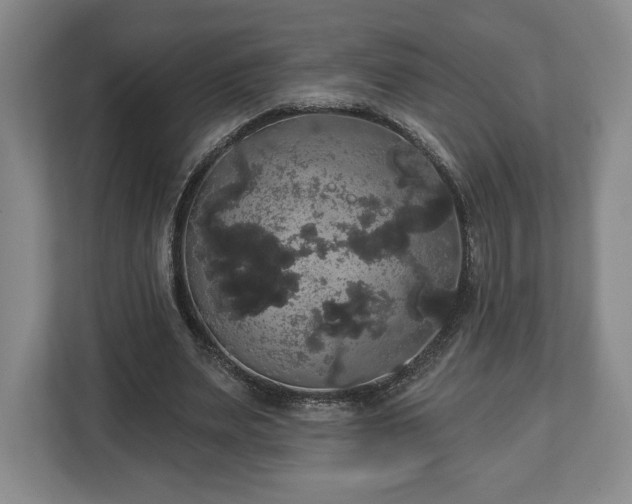 X0000113060487200909041041