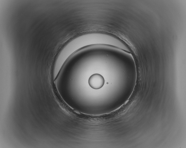 X0000113060489200909041041