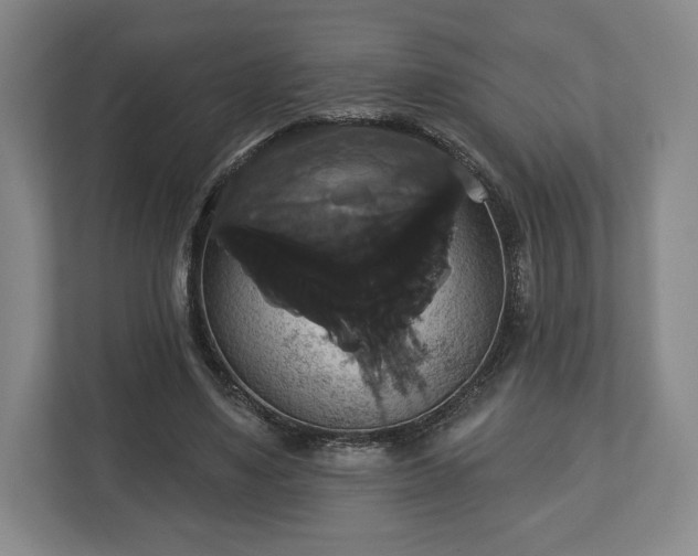 X0000113060491200909041041