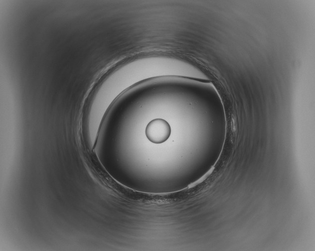 X0000113060492200909041041