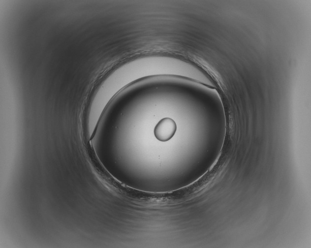 X0000113060493200909041041