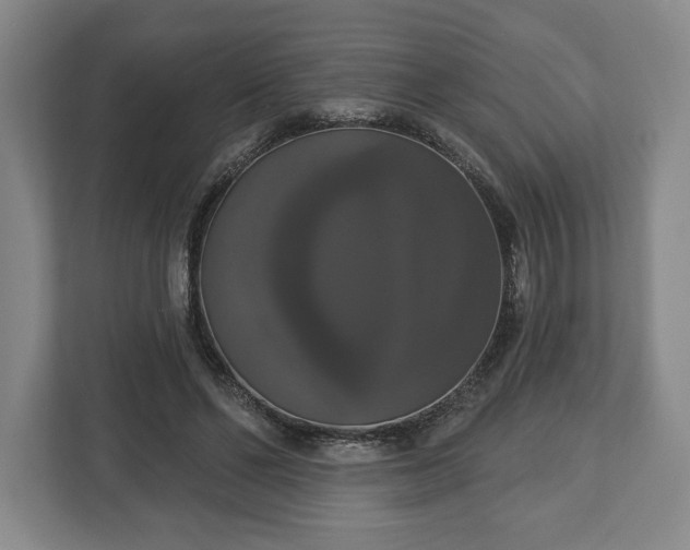 X0000113060494200909041041