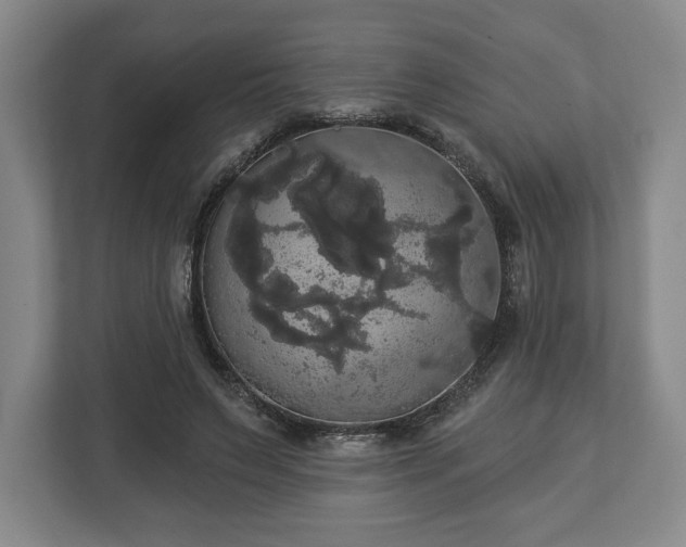 X0000113060495200909041041