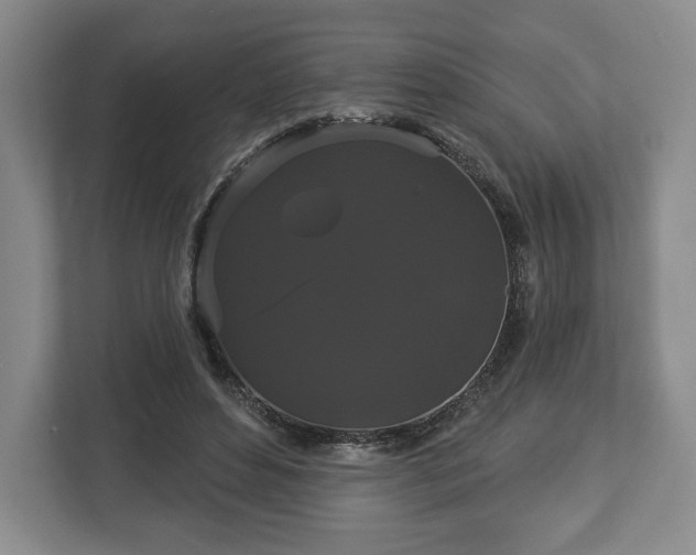X0000113060496200909041041